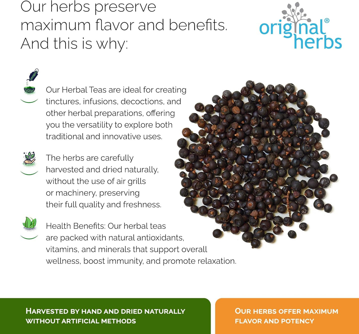 Juniper Berry