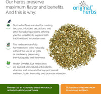 Motherwort Herb Tea